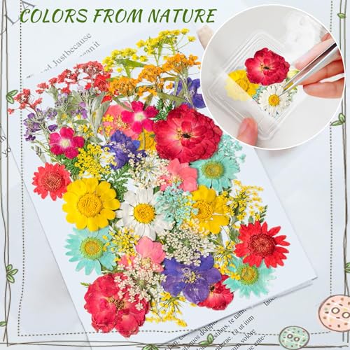 Kaluofan 103PCS Bookmark Making Kit, Transparent Flower Bookmarks, Handmade Dried Flower Bookmark Kit for School, DIY Bookmark Kit with Abundant Bottle Bookmarks Dried Flowers Tassels and Tweezer - color: L00, size: 100PCS