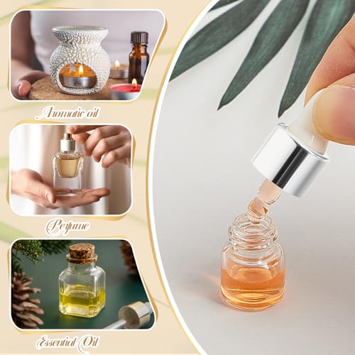 Didaey 100 Pcs Mini Glass Oil Dropper Bottle, 1 ml, Classic Silver - color: Classic Silver, size: 1 ml