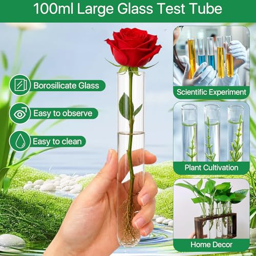 6 Pcs 100ml/3.38oz Glass Test Tubes, 30x200mm Glass Tubes for Plants, Plant Propagation Tube with Brush, Clear Test Tube for Scientific Experiments, Party, Desktop, Home Office Decoration