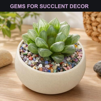 1200Pcs+ (5lb) Gemstones and Crystals Set,50Kinds+ Bulk Rocks and Minerals
