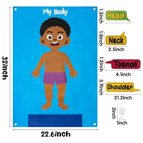 WATINC Body Parts Felt Story Board Set - 35Pcs Flannel Teaching Kit (Brown) - color: Brown Skin