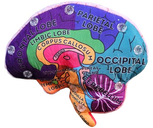 GIANTmicrobes Brain Model Anatomy Plush with Embroidered Details