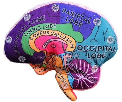 GIANTmicrobes Brain Model Anatomy Plush with Embroidered Details