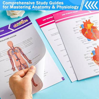 chiazllta 16 Pack Anatomy & Physiology Study Guides Set Human Body Systems Anatomy Study Tools Educational Charts Nursing School Success Bundle for Paramedic Medical School Students
