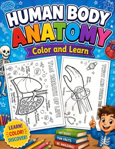 Human Body Anatomy: Color and Learn (Simple Explanations)