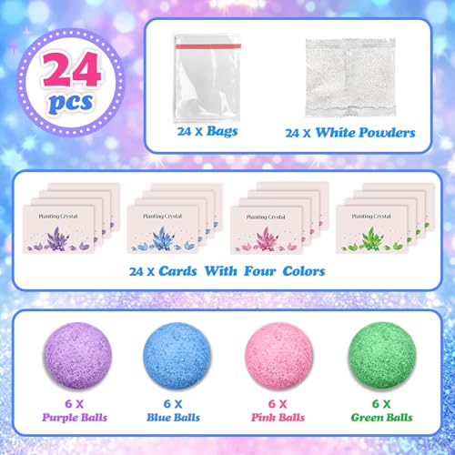 24 Pack Crystal Growing Kit Science Party Favors for Kids STEM Science Experiment Bulk Classroom Prizes Goodie Bag Stuffers Birthday Return Gifts for 4-6 8-12 Boys and Girls (24Pcs, One Size) - color: 24pcs