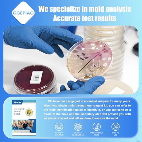 Mold Test Kit for Home,14 Simple Detection Tests,Test HVAC System,Home Surfaces, Indoor Air Quality Testing,DIY Mold Detector,Includes Detailed Mold Identification Guide,Black Mold Testing kit