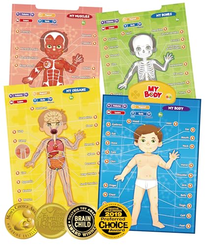 BEST LEARNING i-Poster My Body - Interactive Talking Human Anatomy Toy - style: My Body
