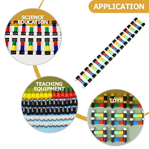 iplusmile DNA Double Helix Structure Models Kit Biological Science Popularization Teaching Aid for DNA Assembling, Educational Learning for School Student