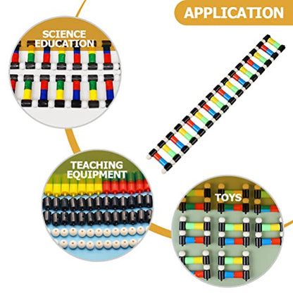 iplusmile DNA Double Helix Structure Models Kit Biological Science Popularization Teaching Aid for DNA Assembling, Educational Learning for School Student