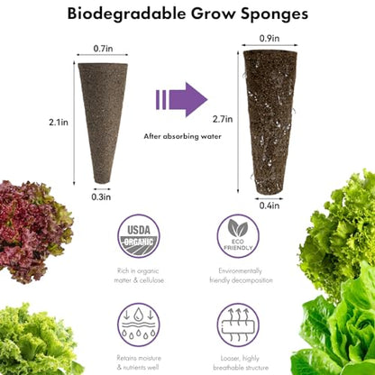 LYKOCLEAN Salad Romaine Lettuce Pods for AeroGarden, Ahopegarden, iDOO Hydroponics Growing System, 350 Seeds+ Including American Fast Lettuce, Paris Island Cos Lettuce, Buttercrunch Lettuce(7-Pods) - color: Lettuce, size: 7pods