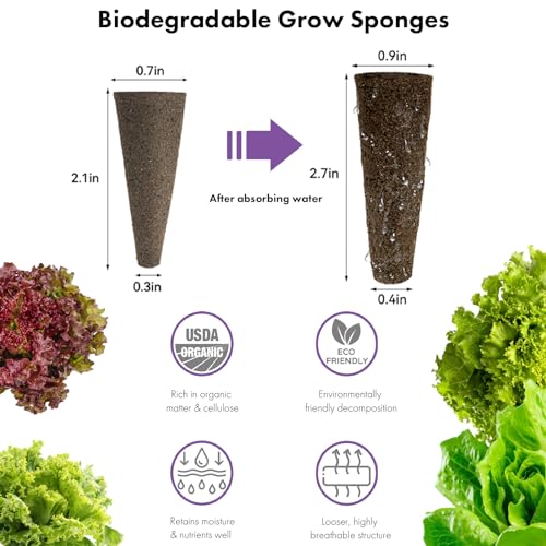 LYKOCLEAN Salad Romaine Lettuce Seed Pods for AeroGarden,Ahopegarden, iDOO Hydroponics Growing System,350 Seeds+ Including American Lettuce,Paris Island Cos,Buttercrunch (12-Pods) - color: Lettuce, size: 12pods