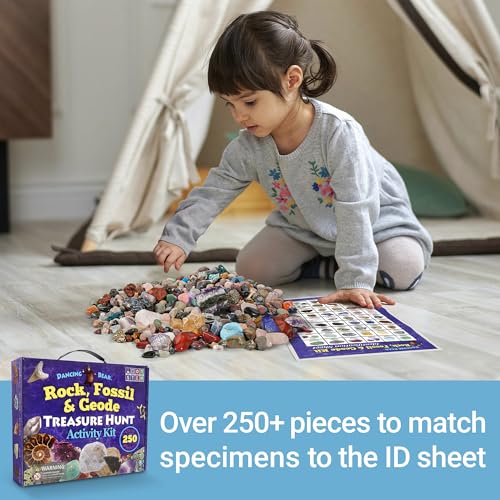 DANCING BEAR Rock, Mineral & Geodes Treasure Hunt Activity Kit (250 Pc Set) Real Shark Teeth Fossils, ID Sheet & Rock Book, STEM
