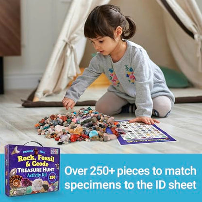 DANCING BEAR Rock, Mineral & Geodes Treasure Hunt Activity Kit (250 Pc Set) Real Shark Teeth Fossils, ID Sheet & Rock Book, STEM