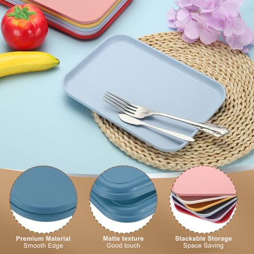 PATIKIL 12x8.7 Plastic Tray, 2 Pack Rectangular Plates Small Food Tray Wheat Plates Dishes Reusable Dessert Plate Trays with Cloth for Cake Fruits Salad Cupcake Steak Serving Dark Blue - color: Dark Blue, size: M(12"x8.7")