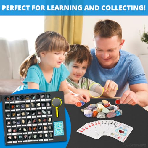 PIBEX Rock Collection Starter Kit, 54 Rocks & Minerals with Name Labels - style: 54PC Starter Edition