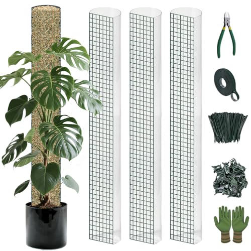 Metal Moss Poles for Climbing Plants, D-Shape Sphagnum Moss Pole Monstera Plant Support for Climbing Plants, DIY Plant Stakes Work with Sphagnum Moss (12ft D-Shaped Clear) - color: 12ft Clear, size: 12ft D-shaped