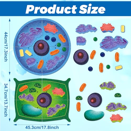 2 Set Felt Animal Plant Cell Model Kit, 3D Biology Toy Kids