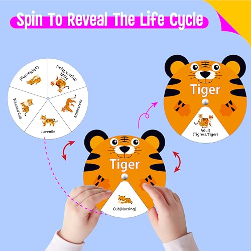 30 PCS Life Cycle Spinners, 20 Animals & 10 Plants Montessori Learning Toy for Kids, Educational Spinning Game Nature & Science Learning Activities for Toddlers