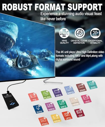 4K Ultra HD Media Player & HDD Enclosure 2-in-1,Digital Signage, Play H.265/HEVC H.264/AVC MP4 MKV Videos,MP3 Music,JPG Photos,Auto Playback and Resume,Supports HDDs,USB/SD Card,4k HDMI,Analog AV. - color: Piano black