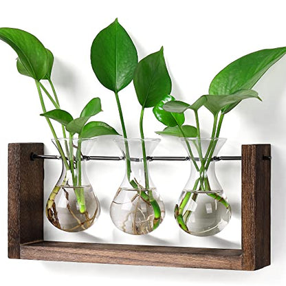 YIBOT Wall Hanging Planter Plant Propagation Stations Glass Flower Vase - size: 3Vase-M