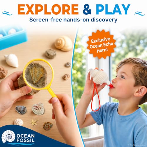 PIBEX Ocean Fossil Collection Kit, 55 PCS Labeled Real Fossils & Seashells