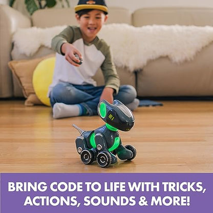 Educational Insights PYXEL A Coder's Best Friend