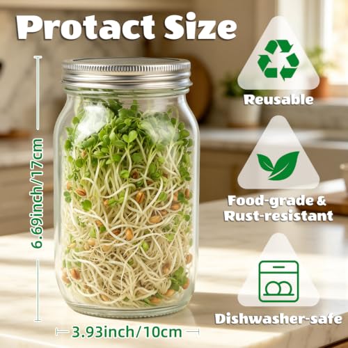 Seed Sprouting Jar Kit - 4 Wide Mouth Mason Jars with 316 Stainless Steel Sprouting Lids, 2 Drip Trays & 2 Stands, Complete Home Growing Set for Broccoli, Alfalfa, Beans, Wheatgrass (4 Jars)