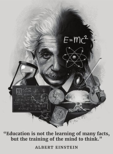 Palace Learning Albert Einstein Poster - Inspirational and Motivational Quote (18" x 24", Laminated)