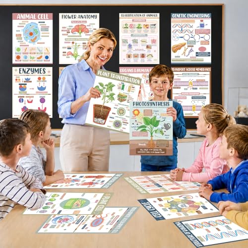 Yakydesign 16PCS Boho Life Science Posters High School Classroom Decorations Biology Poster Charts Classroom Supplies Biology Education Bulletin Board for Teachers School Office Wall Door Decor