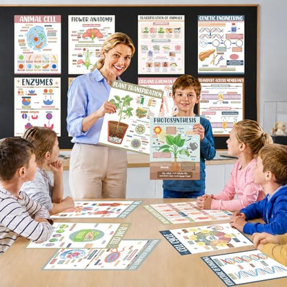 Yakydesign 16PCS Boho Life Science Posters High School Classroom Decorations Biology Poster Charts Classroom Supplies Biology Education Bulletin Board for Teachers School Office Wall Door Decor