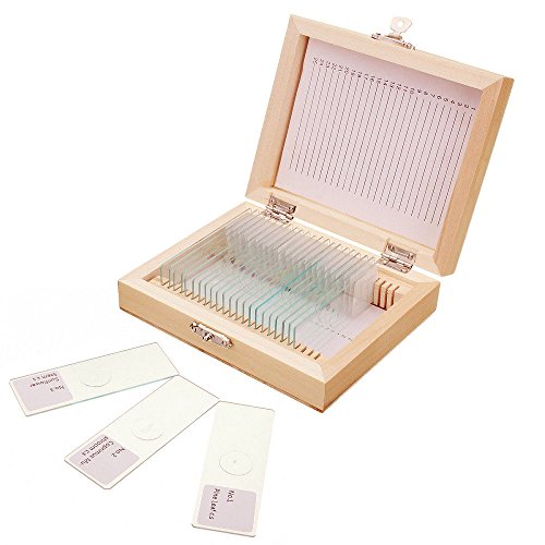 Jiusion 25Pcs Prepared Microscope Slides Set with Fitted Wooden Case