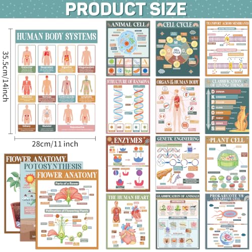 Yiaoyinnz 16Pcs Modern Boho Biology Science Posters for Classroom - color: Modern