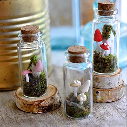 OurWarm 32 pcs 40ml Potion Bottles, Small Glass Bottles with Cork Lids - size: 32pcs - 40ml