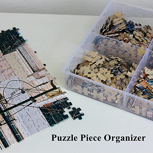 2 Pack Fixed 6 Grids Clear Plastic Organizer Sorting Tray - size: Fixed 6 Grids