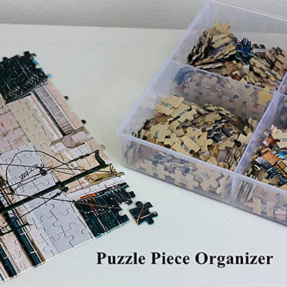 2 Pack Fixed 6 Grids Clear Plastic Organizer Sorting Tray - size: Fixed 6 Grids