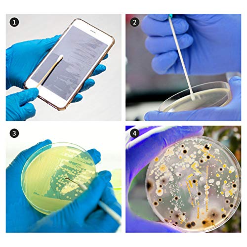 Bacteria Science Kit Petri Dishes with Agar and Swabs | Top Science Fair Project Bacteria Growing Kit | Prepoured LB-Agar Plates and Cotton Swabs | STEM for Kids Aged 6 7 8 9 10 Girls Boys Gifts