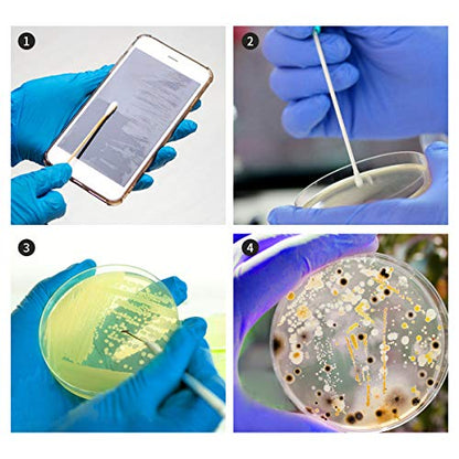 Bacteria Science Kit Petri Dishes with Agar and Swabs | Top Science Fair Project Bacteria Growing Kit | Prepoured LB-Agar Plates and Cotton Swabs | STEM for Kids Aged 6 7 8 9 10 Girls Boys Gifts