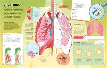 Brain Booster Human Body: Over 100 Mind-Boggling Activities that Make Learning Easy and Fun