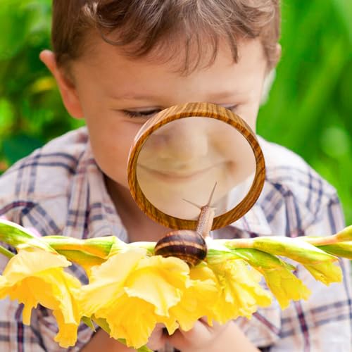 Magnifying Glass 10X 75 mm, Kids Magnifying Glasses Vintage - size: 75 MM