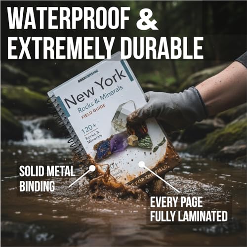 New York Rocks and Minerals Identification Field Guide | Waterproof