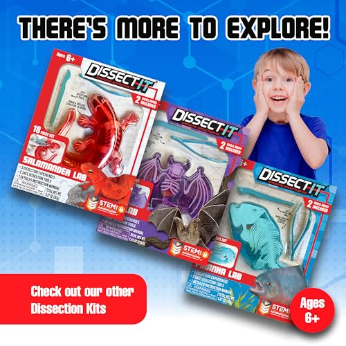 Dissect-It, Shark Dissection Kit, STEM Toys for Kids, Ages 6+