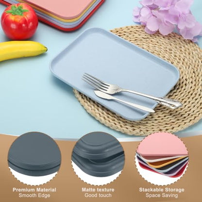 PATIKIL 7.9x5.9 Plastic Tray, 2 Pack Rectangular Plates Small Food Tray Wheat Plates Dishes Reusable Dessert Plate Trays with Cloth for Cake Fruits Salad Cupcake Steak Serving Dark Blue - color: Dark Blue, size: "xS(7.9"x5.9")