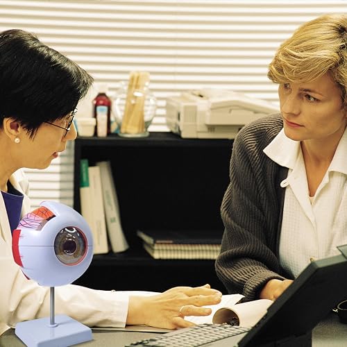 6X Enlarged Eyeball Model, Eye Anatomy Model, Human Eye Anatomical Model for Medical, Educational, or Teaching, with Detailed Product Manual