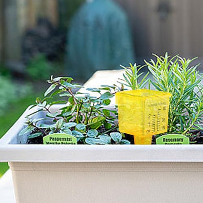 MUMTOP 10 Pack Rain Gauge, 1.5" Sprinkler Gauge for Lawn, Garden, Yard