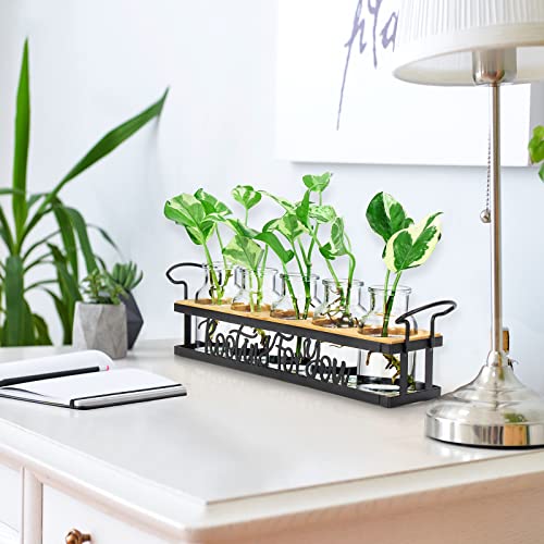 Plant Propagation Station Rooting for You Hydroponic Planter Vase - color: Black – 5 Tray Letter
