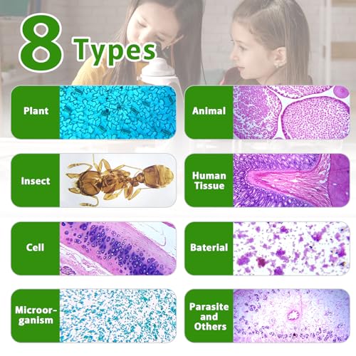 60 Microscope Slides with Specimens,Prepared Microscope Slides for Kids,Glass Slides for Microscope,Prepared Slides for Kids Microscope,Microscope Slide Preparation Kit for Biology Science Classes - size: 60 pcs