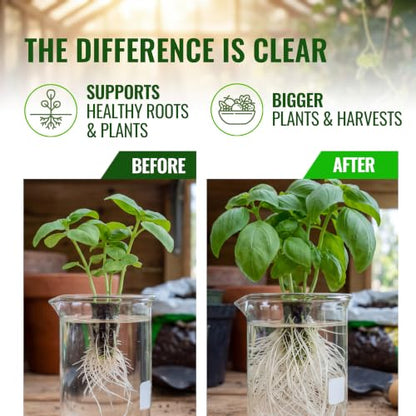 Microbe Life Hydroponics Premium Photosynthesis Plus to Grow Fruits, Vegetables, and Herbs, The Best Professional Big Bud Grow, Use with Any Feeding Systems Including Hydroponics or Soil, 32 Ounces - size: 0.25 Gallons