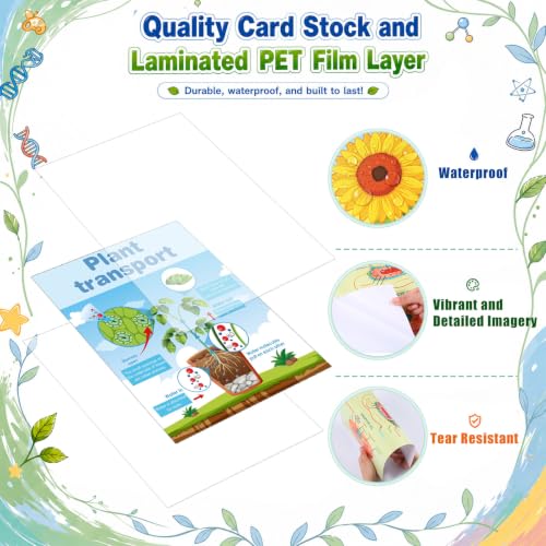 Pajean 16 Pcs Science Biology Posters, Biology Classroom Decoration