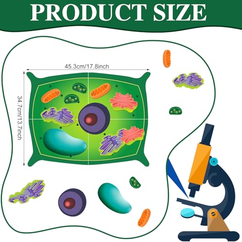 Leitee 18 Pcs Magnetic Plant Cell Model Kit, Giant Biology Teaching Aid - size: 17.8 x 13.7 in